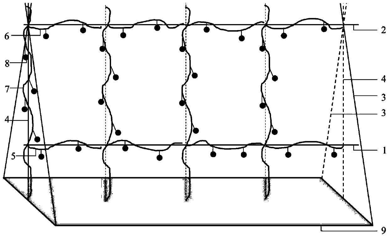 Tomato F-shaped pruning method