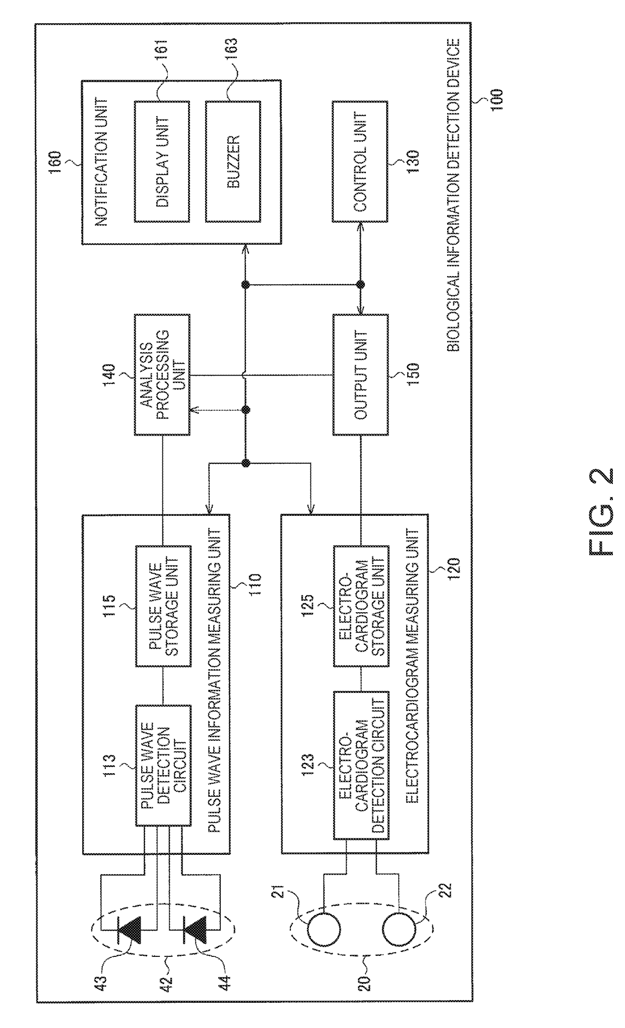 Biological information detection device