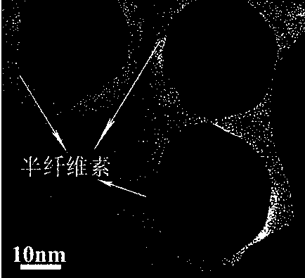 Method for preparing hemicellulose/nano-silver colloid rapidly