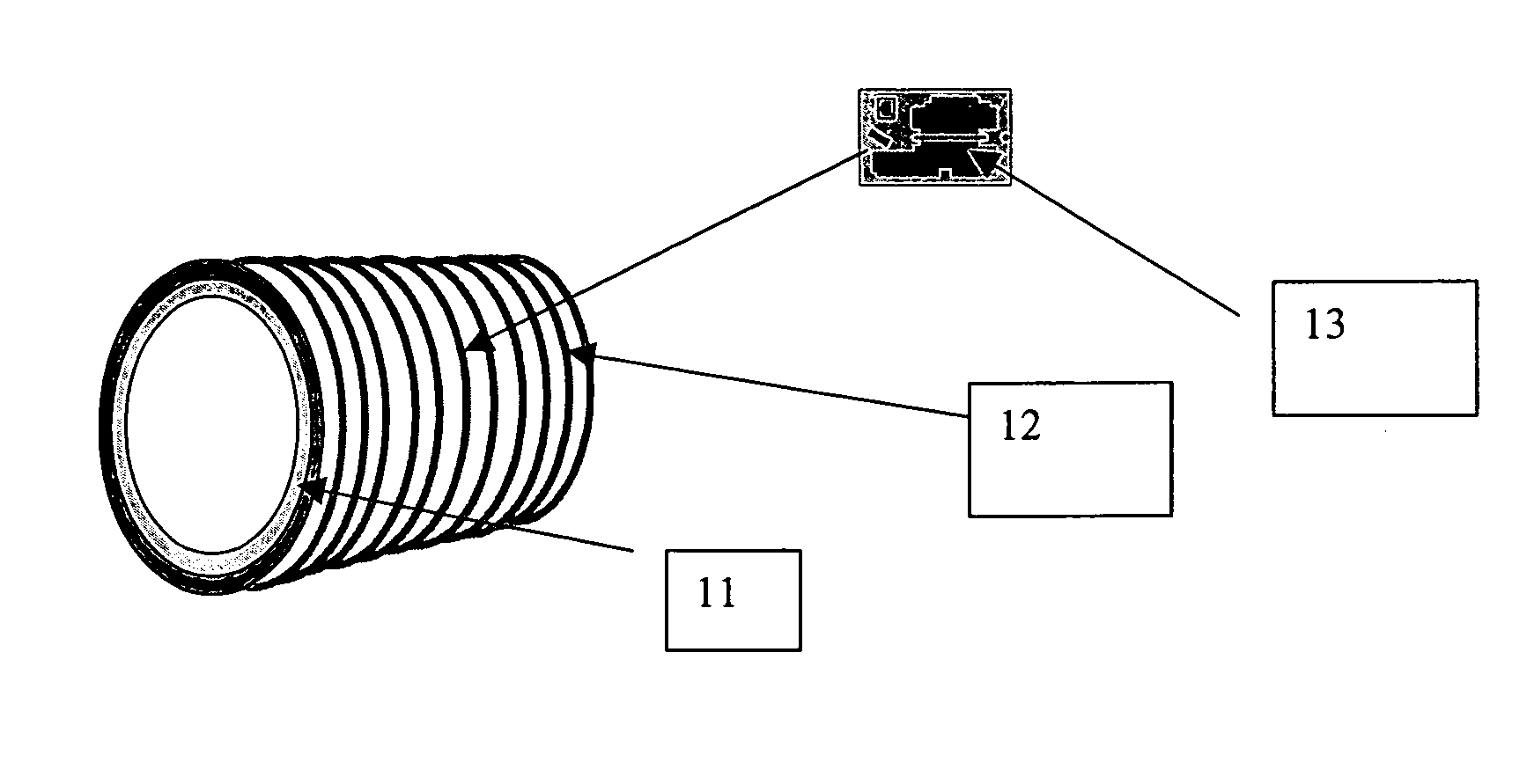 Apparatus for enhancing tissue repair in mammals