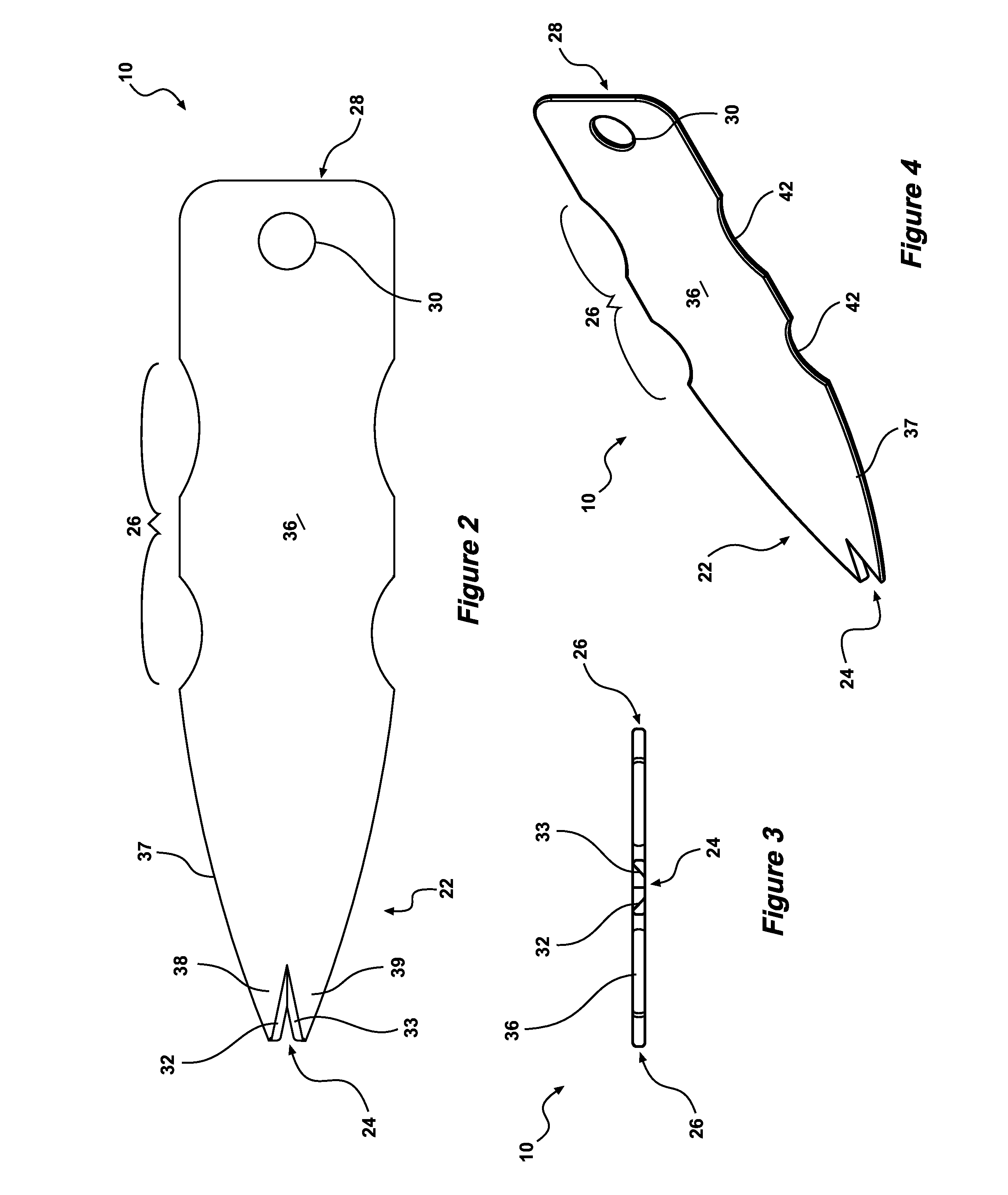 Cephalopod filleting and cleaning apparatus