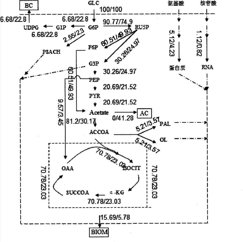 High-yield bacterial cellulose fermentation medium and fermentation method of bacterial cellulose