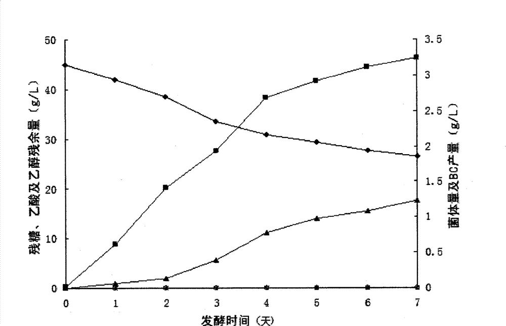 High-yield bacterial cellulose fermentation medium and fermentation method of bacterial cellulose