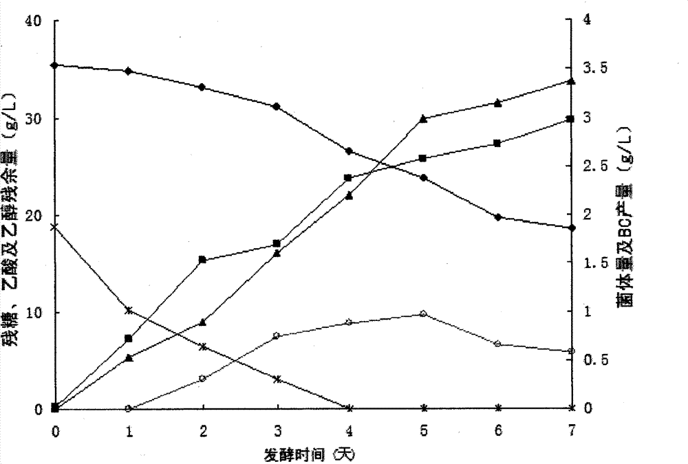 High-yield bacterial cellulose fermentation medium and fermentation method of bacterial cellulose