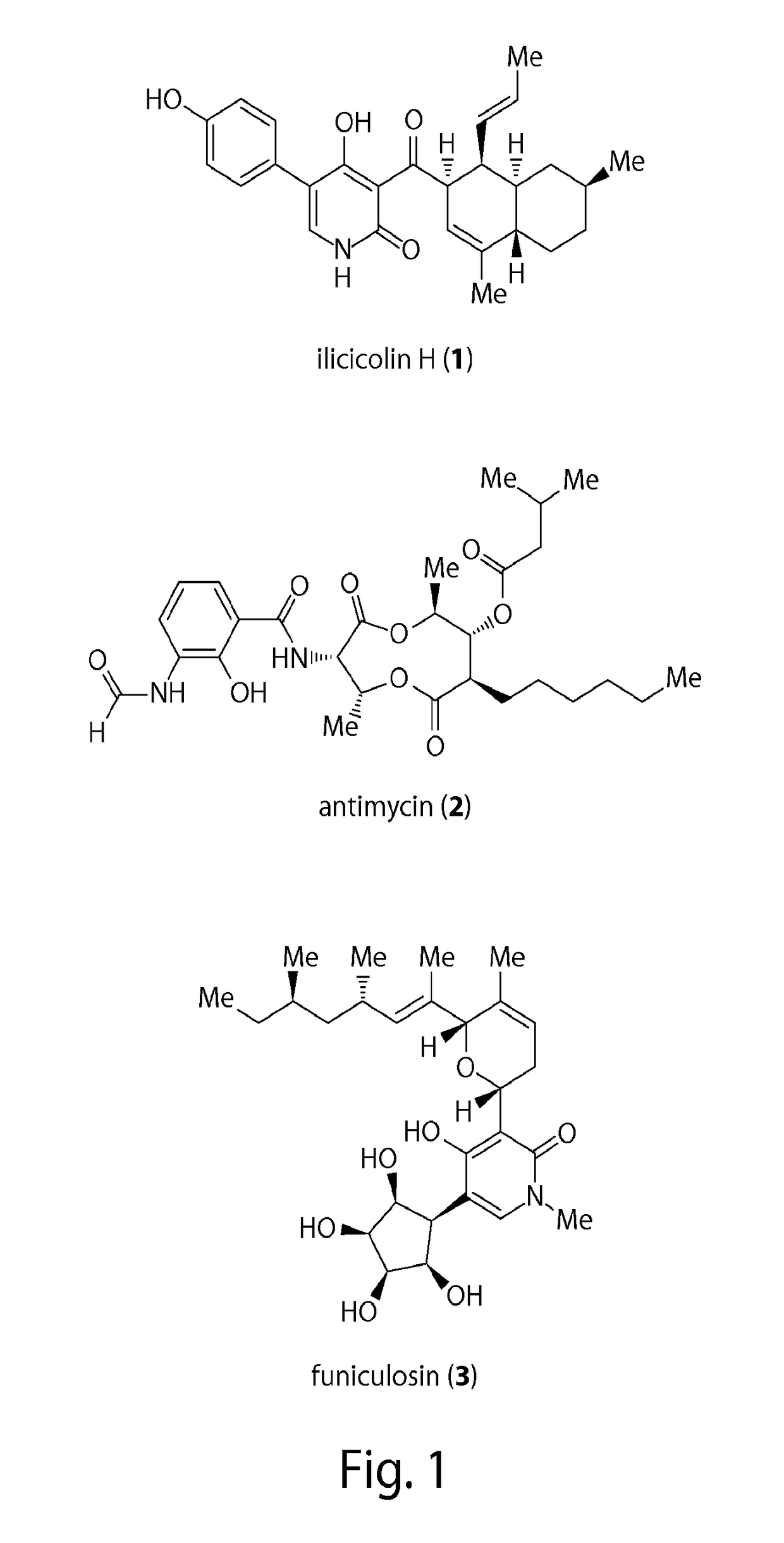 Thiohydantoin derivatives and uses thereof