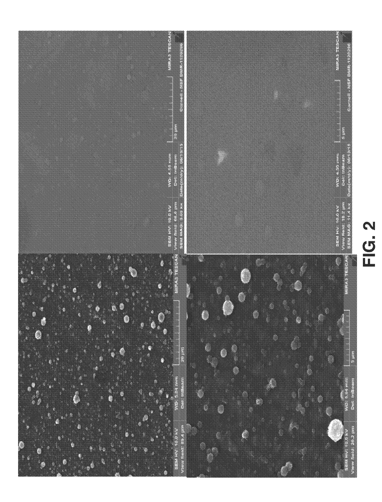 Air controlled electrospray manufacturing and products thereof