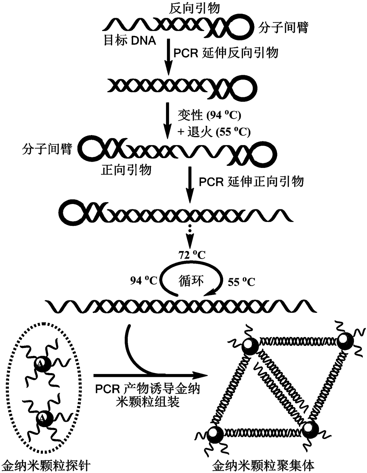 Quantitative PCR detection method based on gold nanoparticles