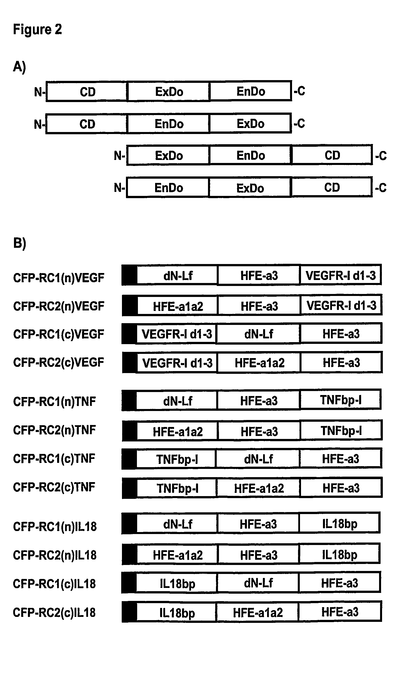 Novel Therapeutic Fusion Proteins