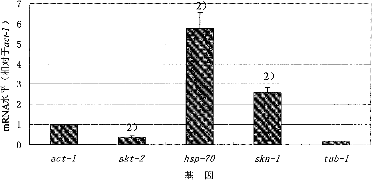 Application of ligusticum chuanxiong hort or extract thereof in preparing anti-aging products