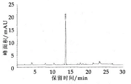 High-yield gamma-aminobutyric acid lactobacillus and screening method thereof