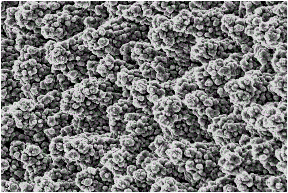 Fine roughing treatment technology for surface of electrolytic copper foil