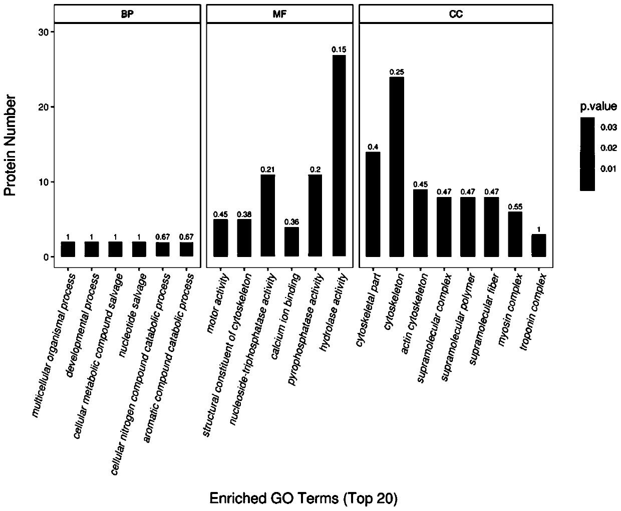 Method for analyzing aeromonas hydrophila infected macrobrachium nipponense blood cell differential expression protein based on proteomics quantitative technology