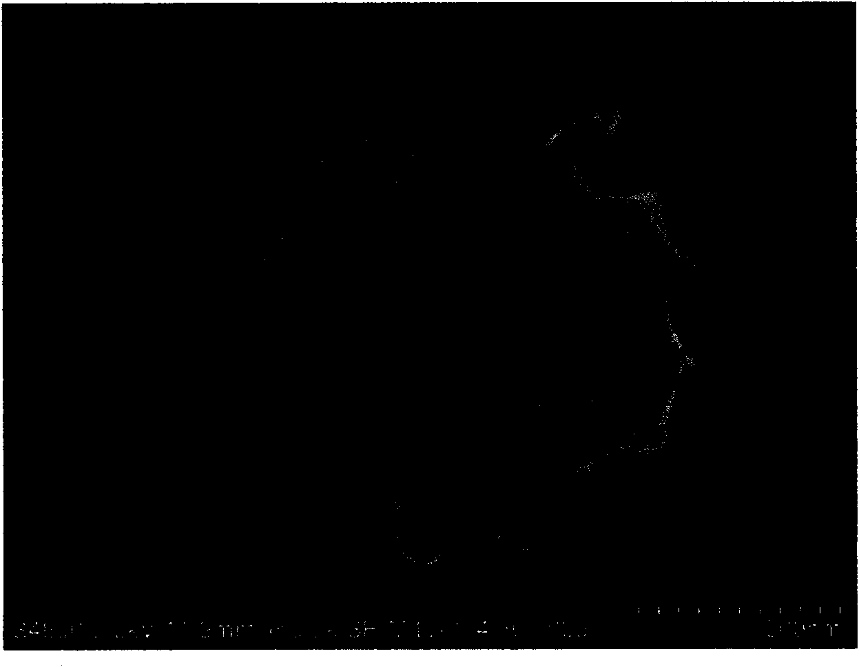 Method for quickly preparing phase change energy storage microcapsule by ultraviolet light irradiation and polymerization