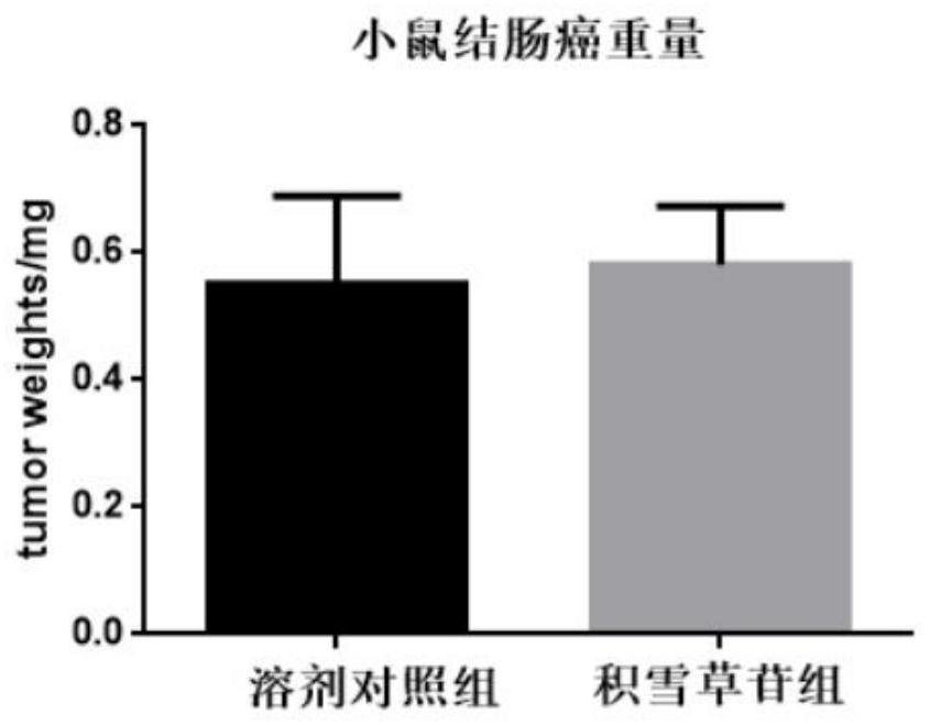 New application of asiaticoside in the preparation of medicines for treating skin cancer