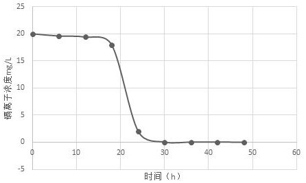 Biological enhancement application method of sulfate reducing bacteria