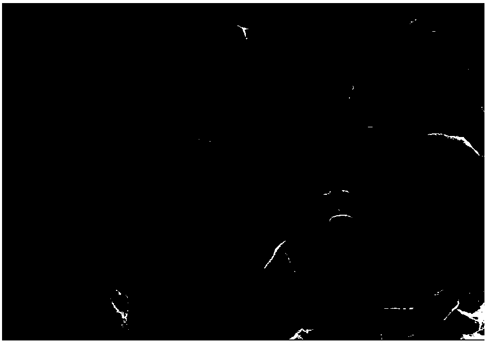 Three-dimensional porous flower-like structure cobalt/carbon nano-composite electromagnetic wave absorbing material and preparation method thereof