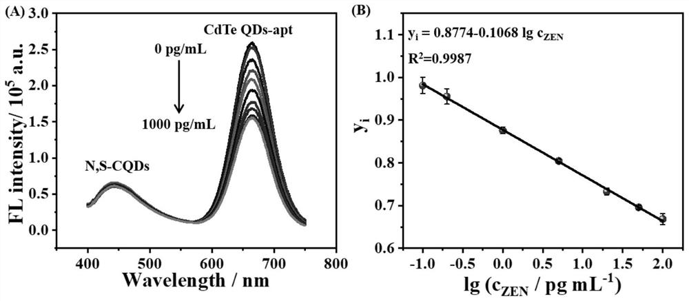 Preparation method of ratio fluorescence aptamer sensor for detecting zearalenone based on photoinduced electron transfer