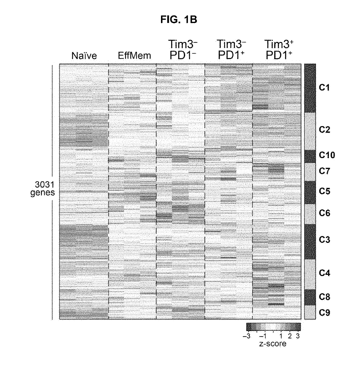 Compositions and methods for evaluating and modulating immune responses by detecting and targeting gata3