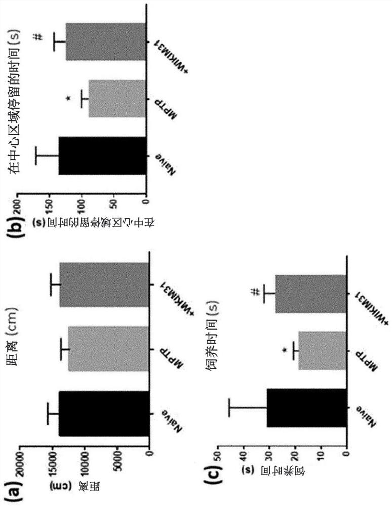 Kimchi lactobacillus sakei having prophylactic, ameliorating or therapeutic effect on depression and anxiety disorders