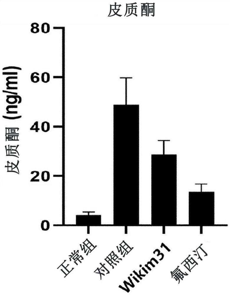 Kimchi lactobacillus sakei having prophylactic, ameliorating or therapeutic effect on depression and anxiety disorders