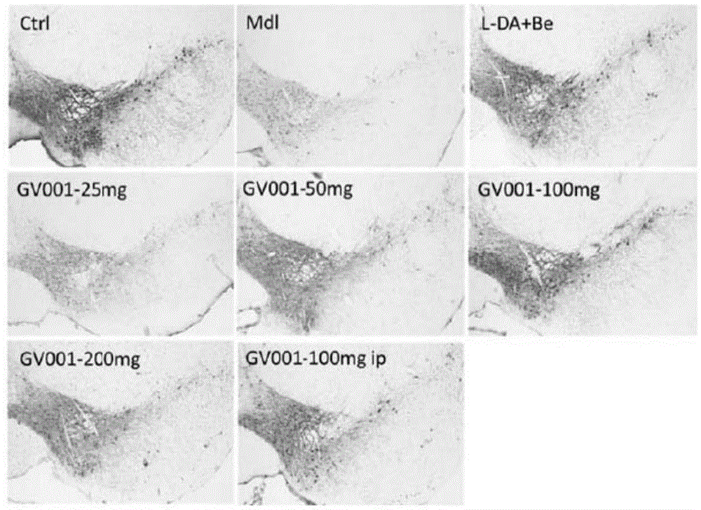 Application of mannuronic acid oligose with carboxyl at 1-position of reducing end and derivative to treatment of Parkinson's disease