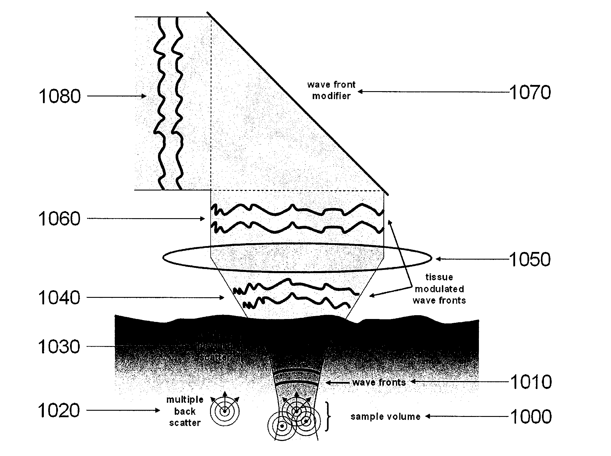 System, arrangement and process for providing speckle reductions using a wave front modulation for optical coherence tomography