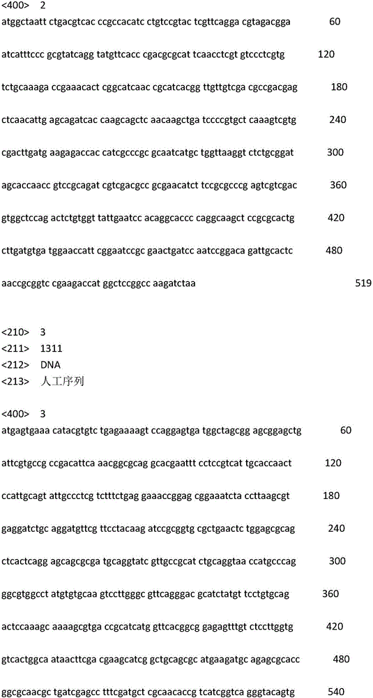 Corynebacterium glutamicum and method for producing high-yield isoleucine with same