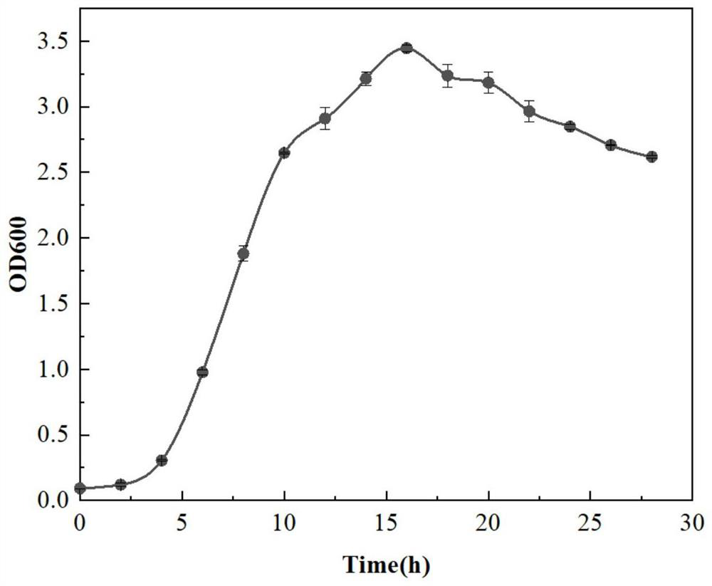 Strain for degrading chloramphenicol and synchronously generating electricity and application thereof