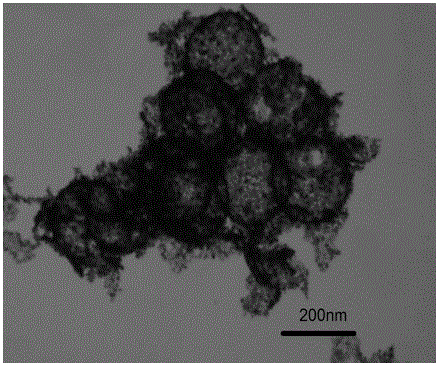 a kind of ceo  <sub>2</sub> /tio  <sub>2</sub> Nanocomposite hollow sphere catalyst and preparation method thereof