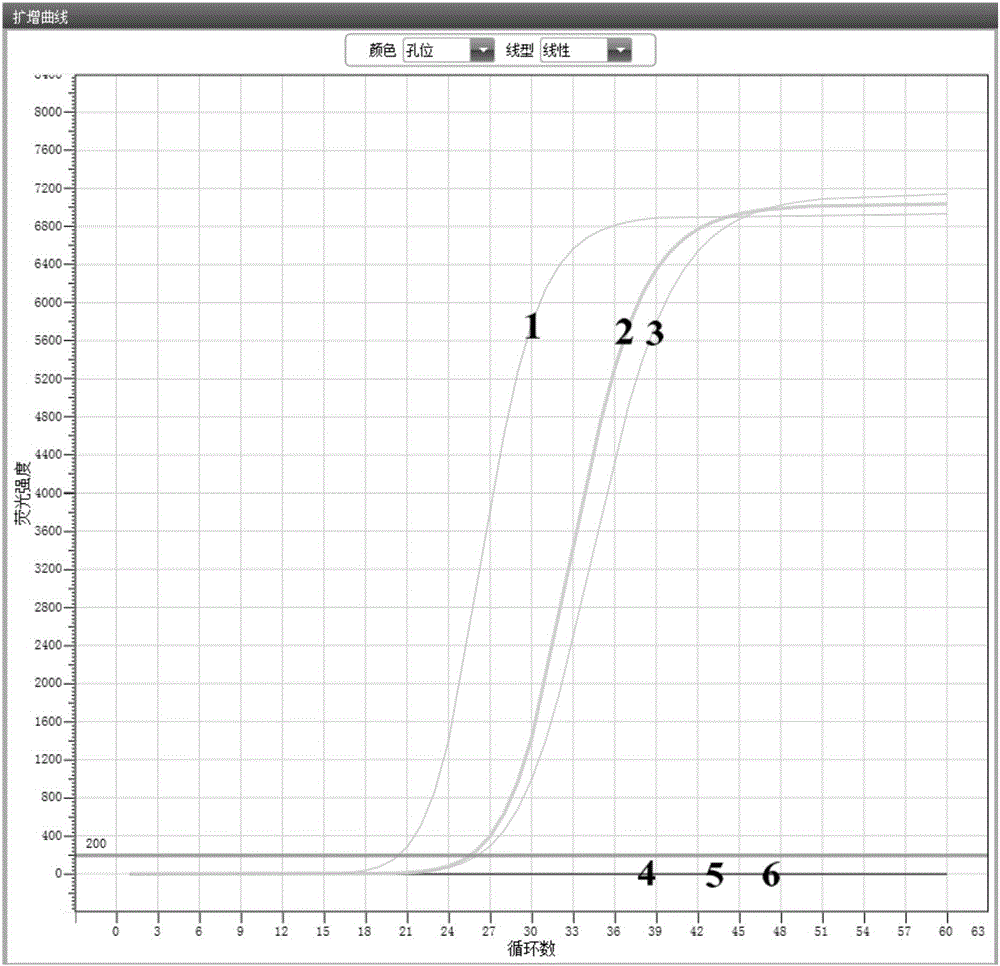 LAMP primer composition used for detecting candida parapsilosis and LAMP detection kit and application method thereof