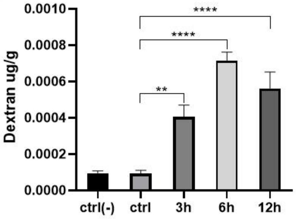 Application of mouse umbilical cord mesenchymal stem cells in protecting blood-brain barrier function after skin burn