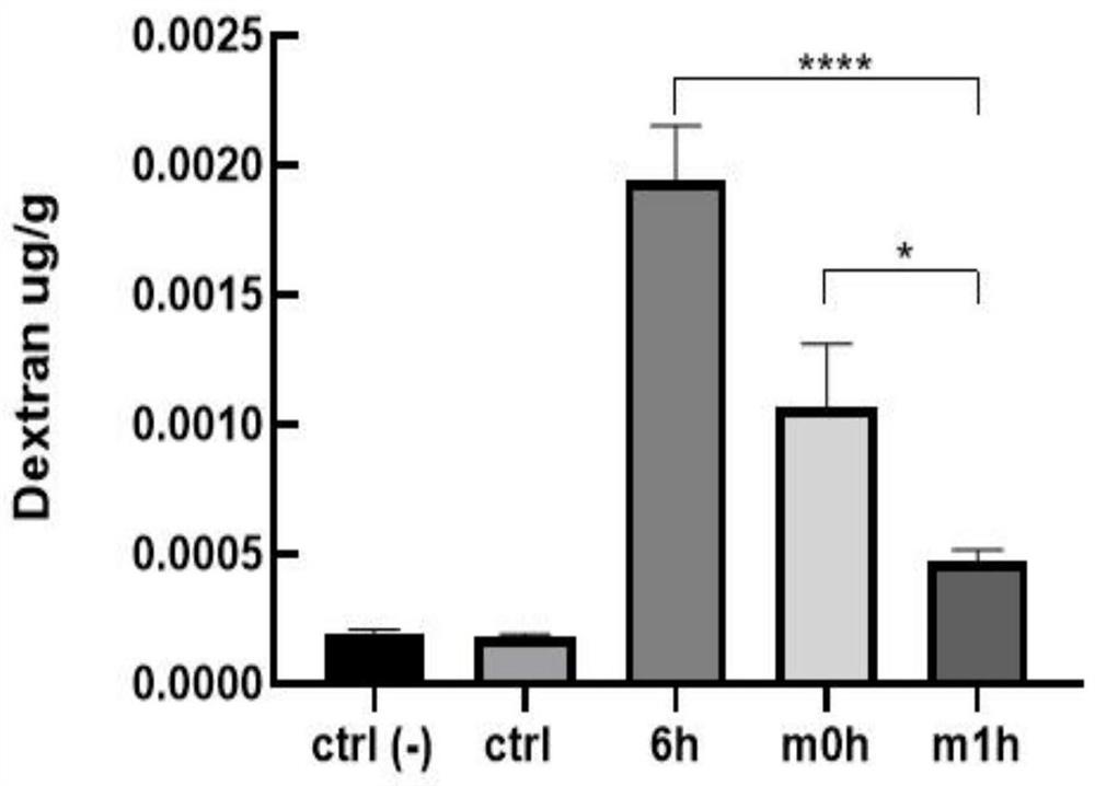 Application of mouse umbilical cord mesenchymal stem cells in protecting blood-brain barrier function after skin burn