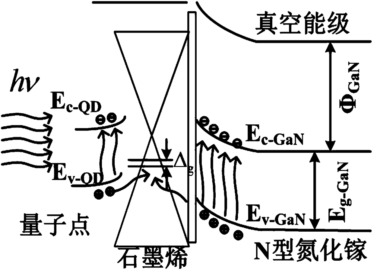 Quantum dot light-doped graphene/boron nitride/gallium nitride ultraviolet detector and manufacturing method thereof