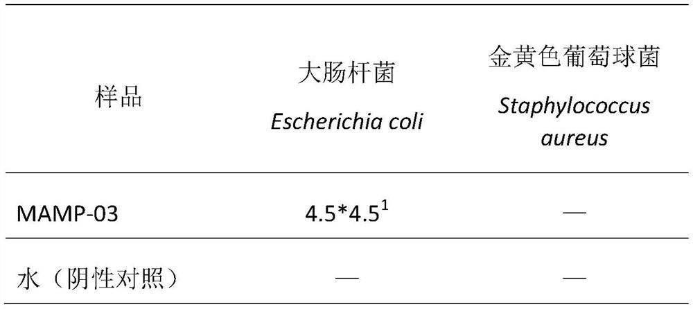 Antibacterial peptide MAMP-03 and application thereof