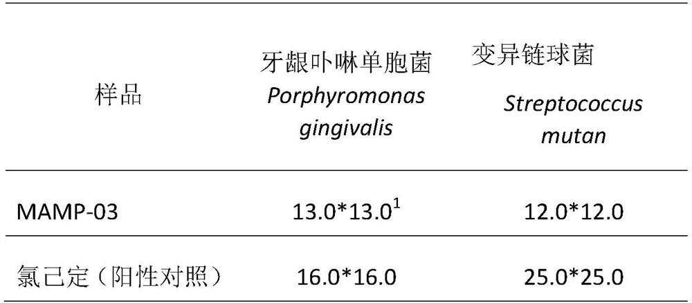 Antibacterial peptide MAMP-03 and application thereof