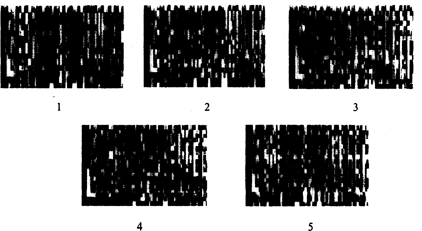 Method for producing Chinese medicine fingerprint atlas