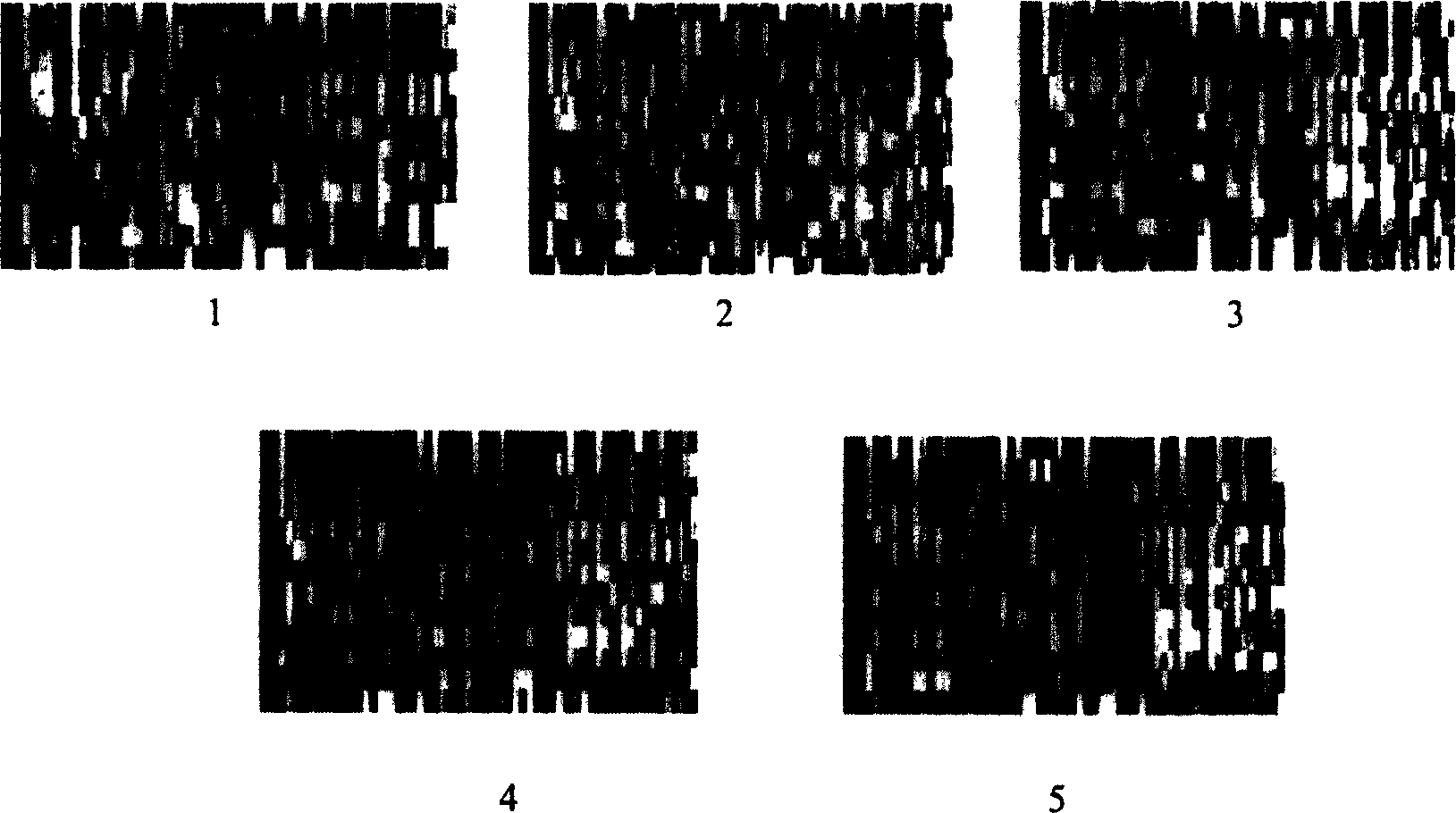 Method for producing Chinese medicine fingerprint atlas