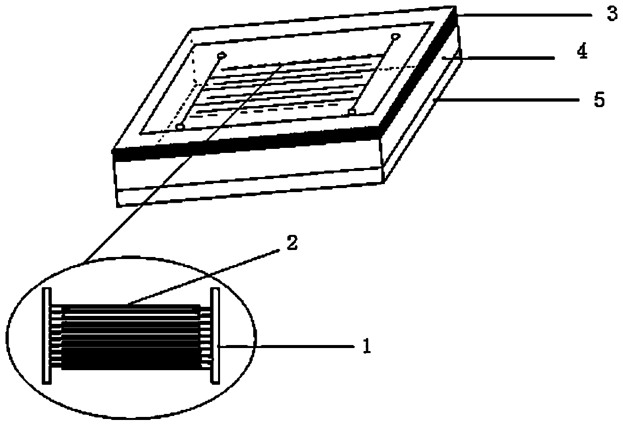 Device and method for monitoring freshness of chilled meat