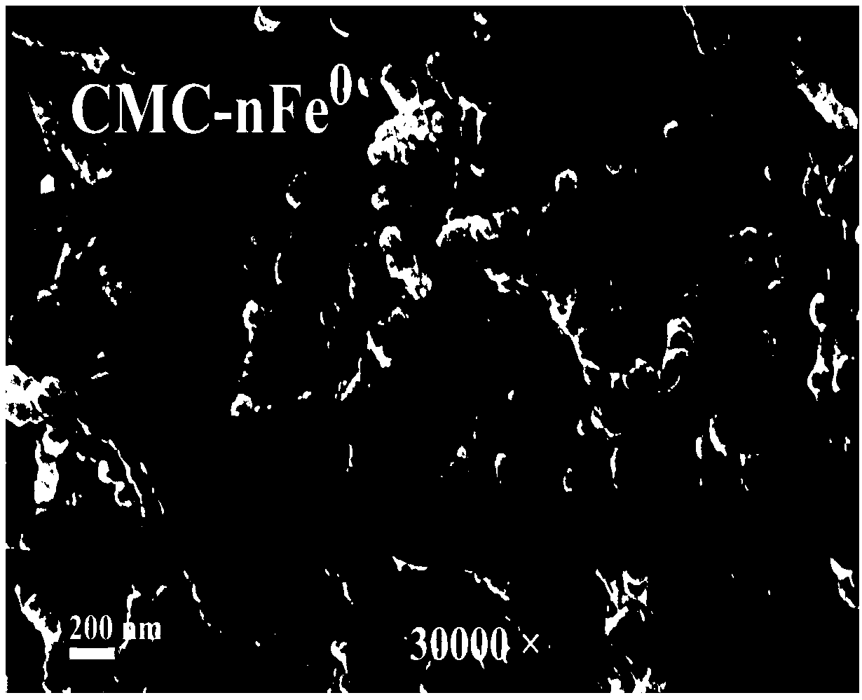 Method for repairing heavy metal contaminated soil by modified nanoscale zero-valent iron synergizing with microorganisms