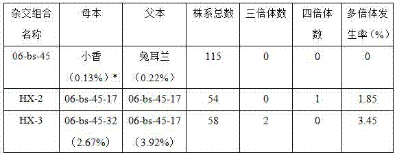 Efficient establishment method for Chinese cymbidium sexual polyploid