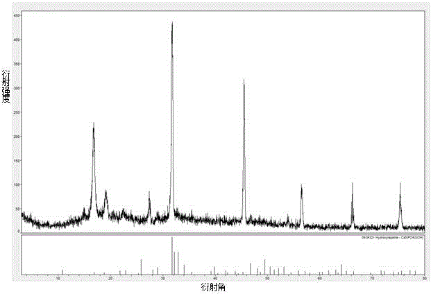 Polylactic acid-hydroxyapatite whisker compound porous scaffold for bone tissue engineering and preparation method thereof