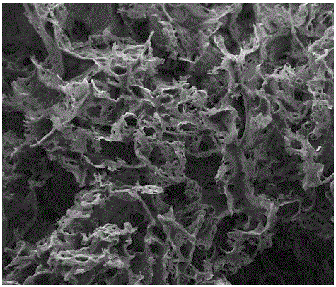 Polylactic acid-hydroxyapatite whisker compound porous scaffold for bone tissue engineering and preparation method thereof