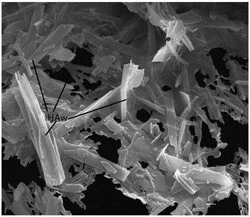 Polylactic acid-hydroxyapatite whisker compound porous scaffold for bone tissue engineering and preparation method thereof