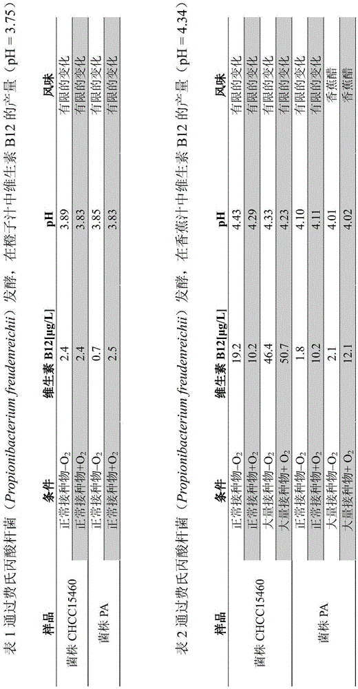 Compositions and methods for vitamin-rich fermentates