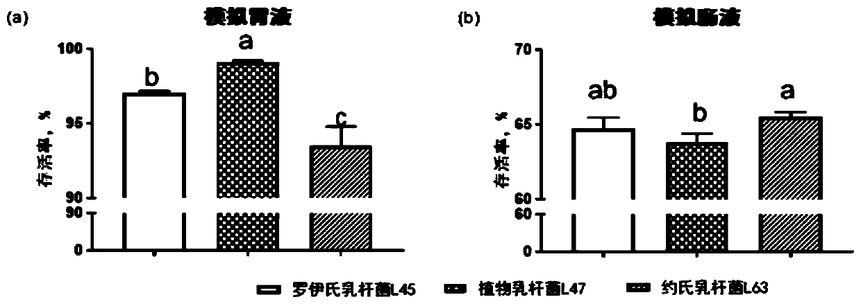 Synbiotic micro-ecological preparation for pigs and preparation method and application of synbiotic micro-ecological preparation