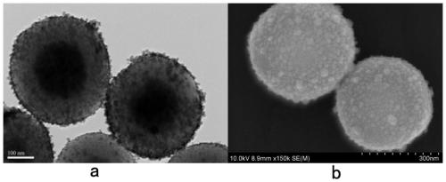 A kind of matrix and preparation method thereof, biological sample detection method