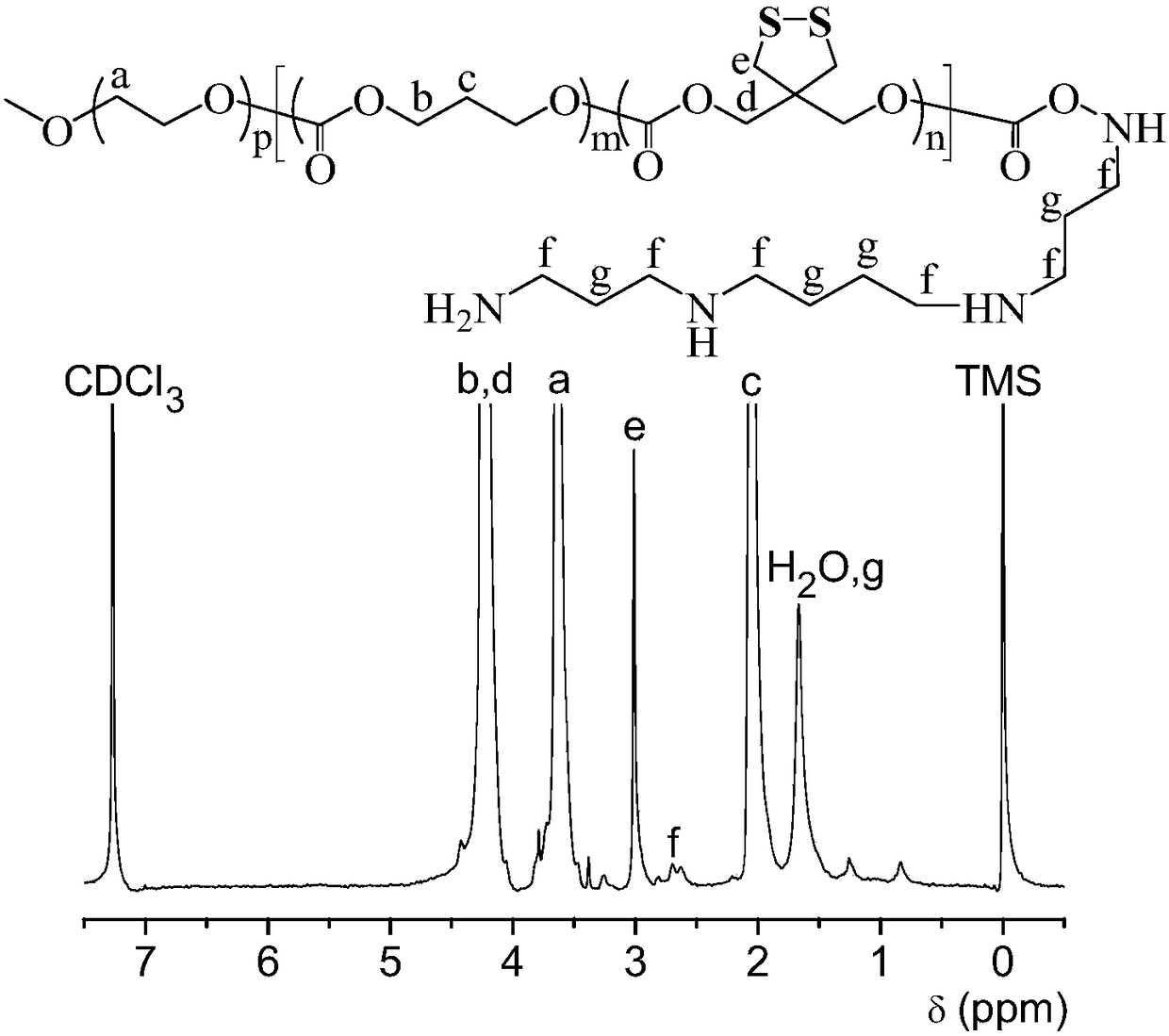 Application of multifunctional polymer vesicles to preparation of medicine for treating multiple myeloma