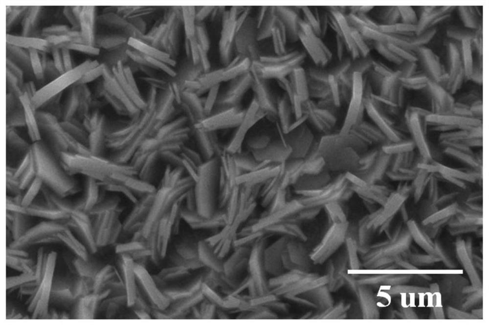 A kind of bismuth-based halide perovskite nanosheet and preparation method thereof