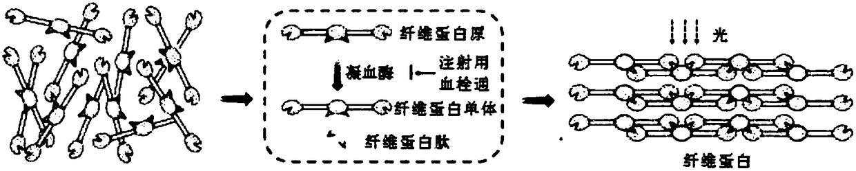 Detection method for quality fluctuation of Xueshuantong injection