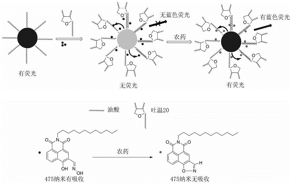 Organophosphorus pesticide molecular probe, preparation and application method thereof and inorganic/organic composite rare earth upconversion nano material